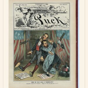 Puck cover — February 11, 1885 — watermarked preview