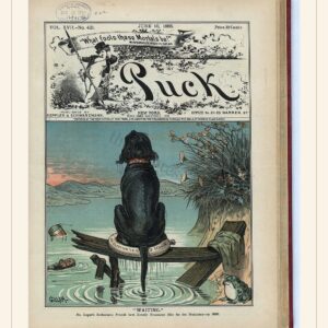 Puck cover — June 10, 1885 — watermarked preview