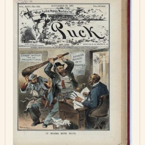 Puck cover — November 25, 1885 — watermarked preview