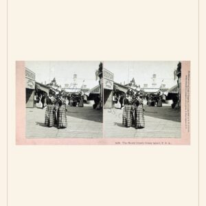 New Year card, 1890 — watermarked preview