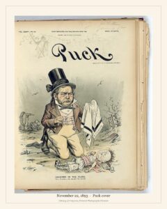 Puck cover — November 22, 1893