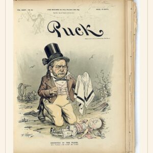 Puck cover — November 22, 1893 — watermarked preview