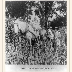 Mother's Day card, 1895 — watermarked preview