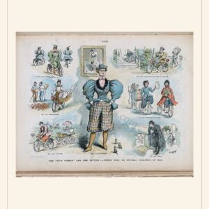 Puck cover — June 19, 1895 — watermarked preview