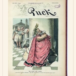 Puck cover — June 19, 1895 — watermarked preview