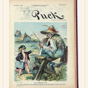 Puck cover — July 17, 1895 — watermarked preview