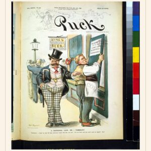 Puck cover — July 24, 1895 — watermarked preview