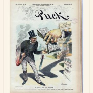 Puck cover — November 20, 1895 — watermarked preview