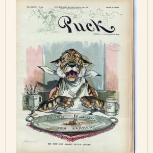 Puck cover — November 27, 1895 — watermarked preview