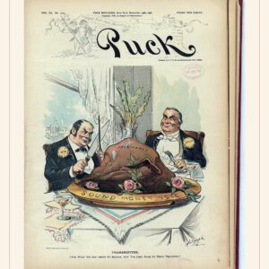 Election Day card, 1896 — watermarked preview