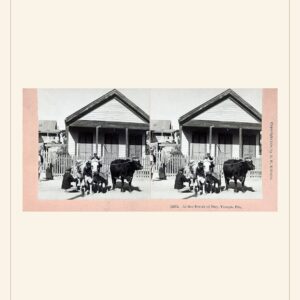 Mother's Day card, 1898 — watermarked preview