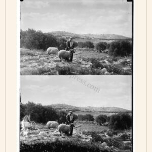 Christmas card, 1898 — watermarked preview