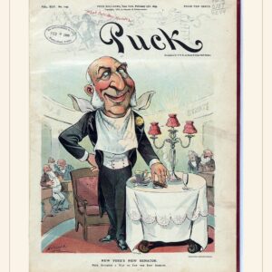Puck cover — February 15, 1899 — watermarked preview
