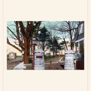 Valentine's Day card, 1900 — watermarked preview