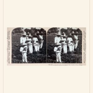 New Year card, 1901 — watermarked preview