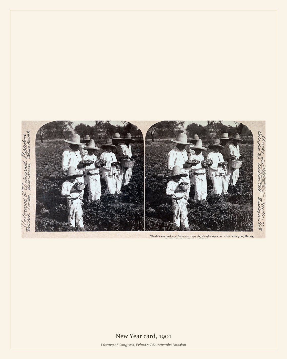 New Year card, 1901 — watermarked preview