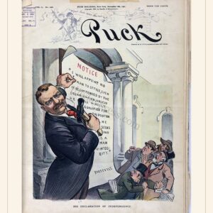 Puck cover — November 6, 1901 — watermarked preview