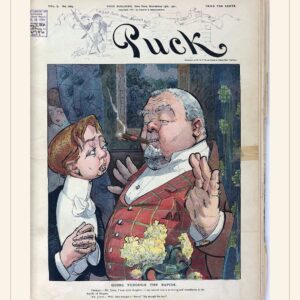 Puck cover — November 13, 1901 — watermarked preview