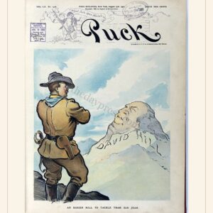 Puck cover — August 13, 1902 — watermarked preview