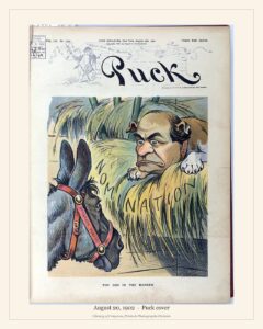 Puck cover — August 20, 1902