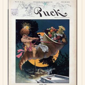 Puck cover — December 28, 1904 — watermarked preview