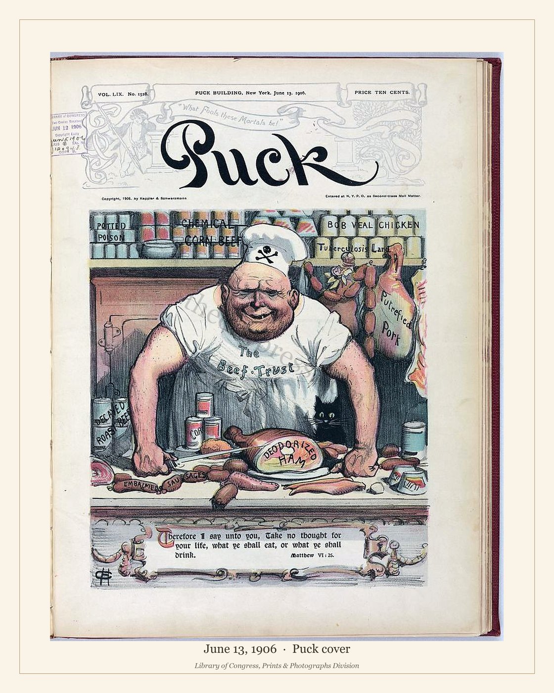 Puck cover — June 13, 1906 — watermarked preview