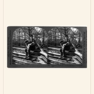 Thanksgiving card, 1906 — watermarked preview