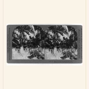Christmas card, 1906