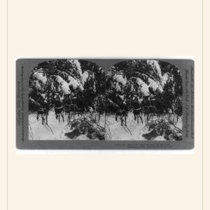Christmas card, 1906 — watermarked preview