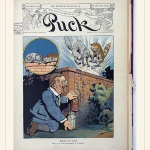 Puck cover — May 20, 1908 — watermarked preview