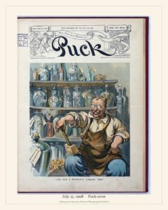 Puck cover — July 15, 1908