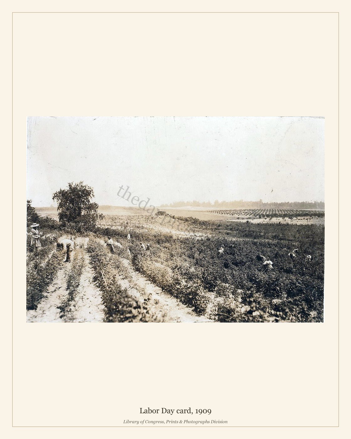 Labor Day card, 1909 — watermarked preview