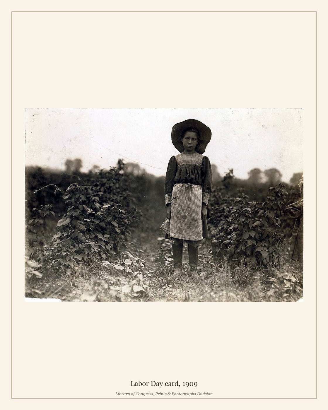 Labor Day card, 1909 — watermarked preview