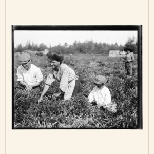 New Year card, 1910 — watermarked preview