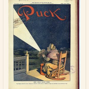 Puck cover — November 16, 1910 — watermarked preview