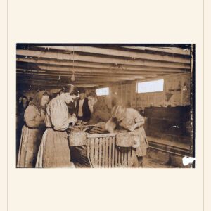 Labor Day card, 1911 — watermarked preview