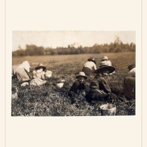 Labor Day card, 1911 — watermarked preview