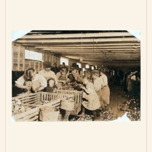 Labor Day card, 1911 — watermarked preview