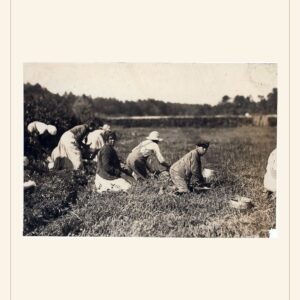 Labor Day card, 1911 — watermarked preview