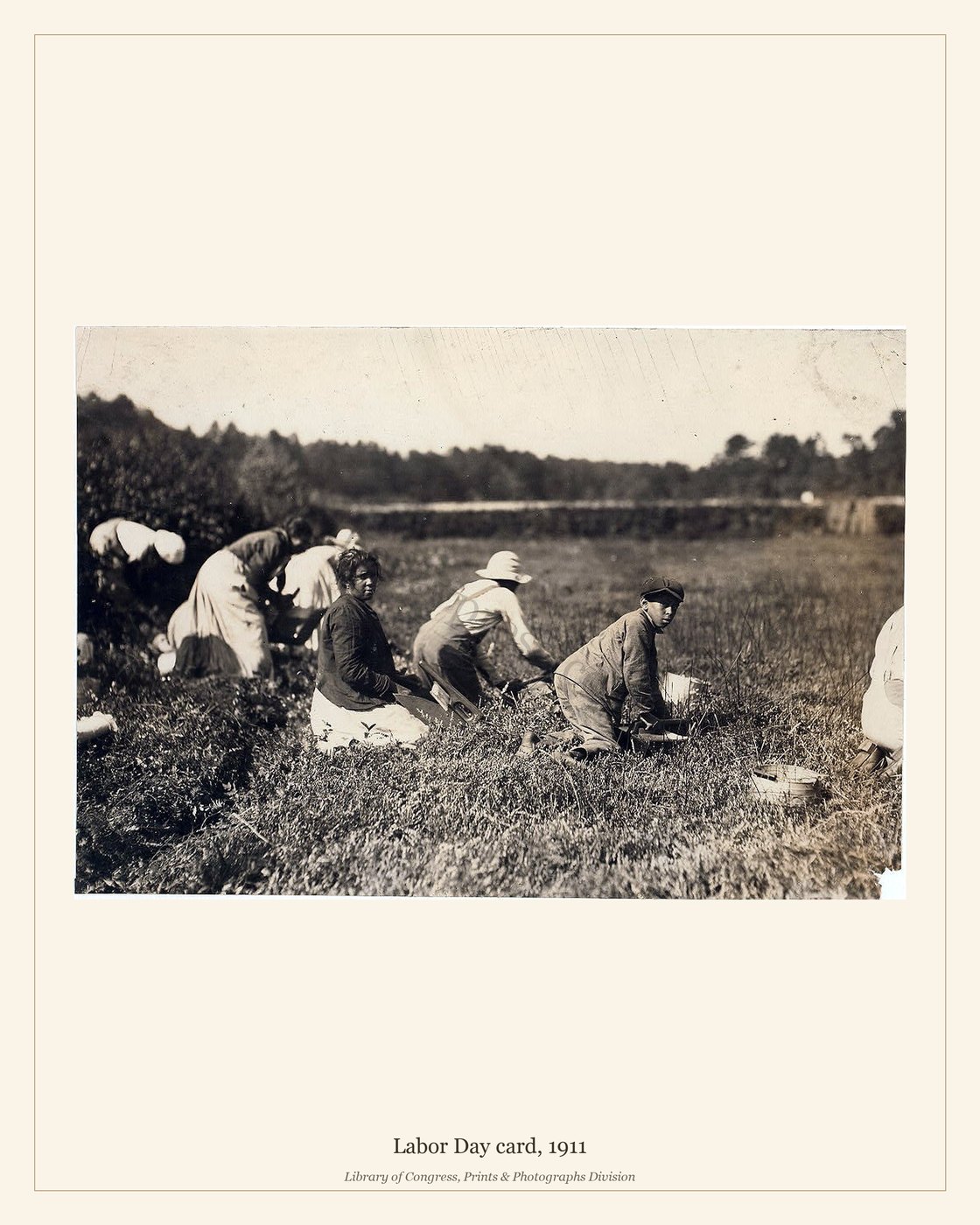 Labor Day card, 1911 — watermarked preview