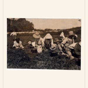 Labor Day card, 1911 — watermarked preview