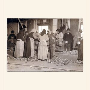 Labor Day card, 1911 — watermarked preview