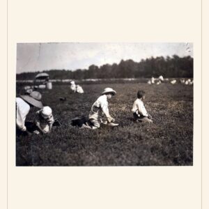Labor Day card, 1911 — watermarked preview