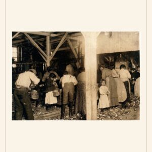 Labor Day card, 1911 — watermarked preview