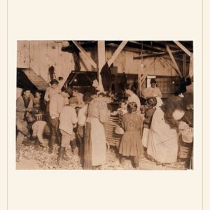 Labor Day card, 1911 — watermarked preview