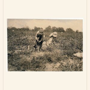 Mother's Day card, 1913 — watermarked preview