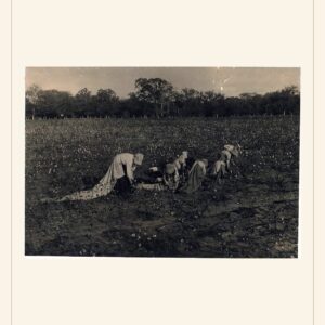 Father's Day card, 1913 — watermarked preview