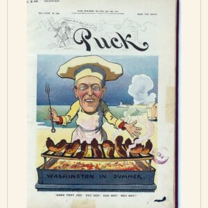 Puck cover — July 16, 1913 — watermarked preview