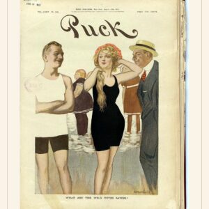 Puck cover — August 27, 1913 — watermarked preview