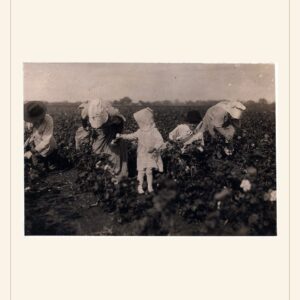 Labor Day card, 1913 — watermarked preview